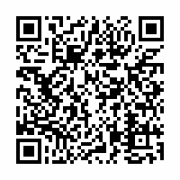 QR Code für Stadtfest Zwickau