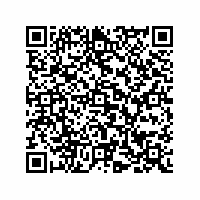 QR Code für Vorstellung eines Schätzchens aus dem Museumsdepot als Objekt des Monats September: Ein Harnisch, 16. Jh.