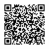 QR Code für KUNSTSAMMLUNGEN ZWICKAU Max-Pechstein-Museum im ZwischenRAUM