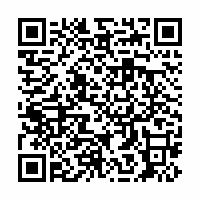 QR Code für Schätzchen aus dem Museumsdepot: Ein Bronzeschwert