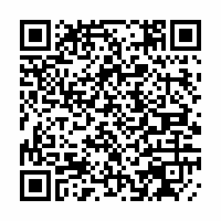 QR Code für The Firebirds - Jukebox (mit After-Show)