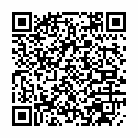 QR Code für The Firebirds - Jukebox (mit After-Show)