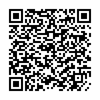 QR Code für Luca Stricagnoli - High Voltage-Tour 2026